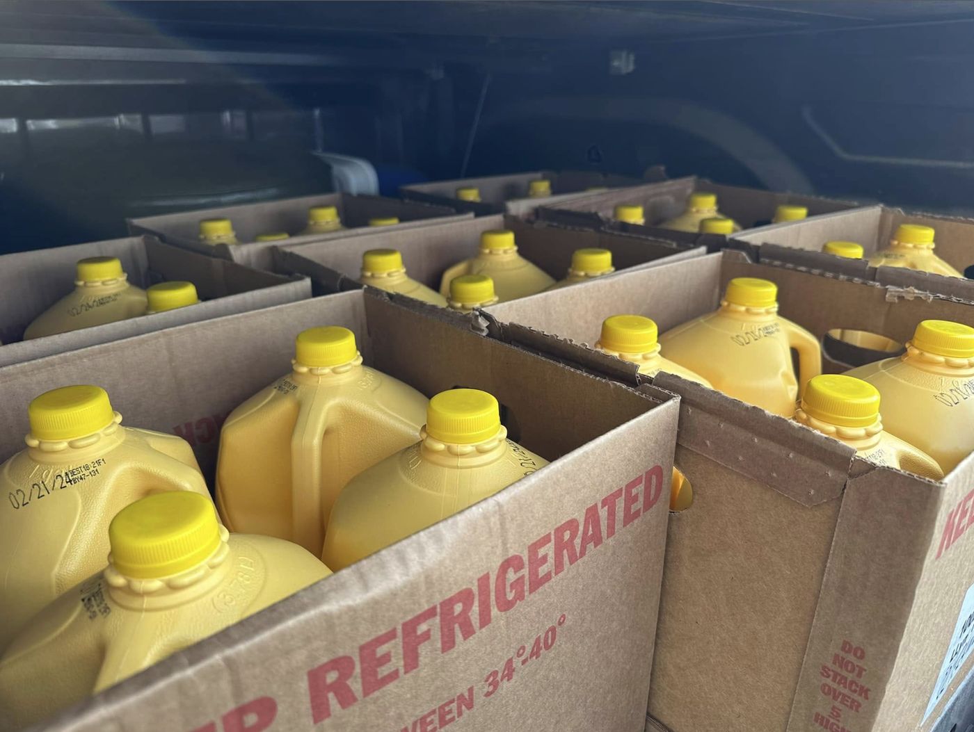 Cases of milk gallons in the back of a vehicle